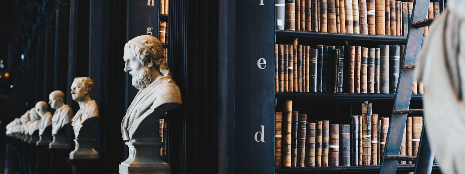 Classical law library lined with legal volumes